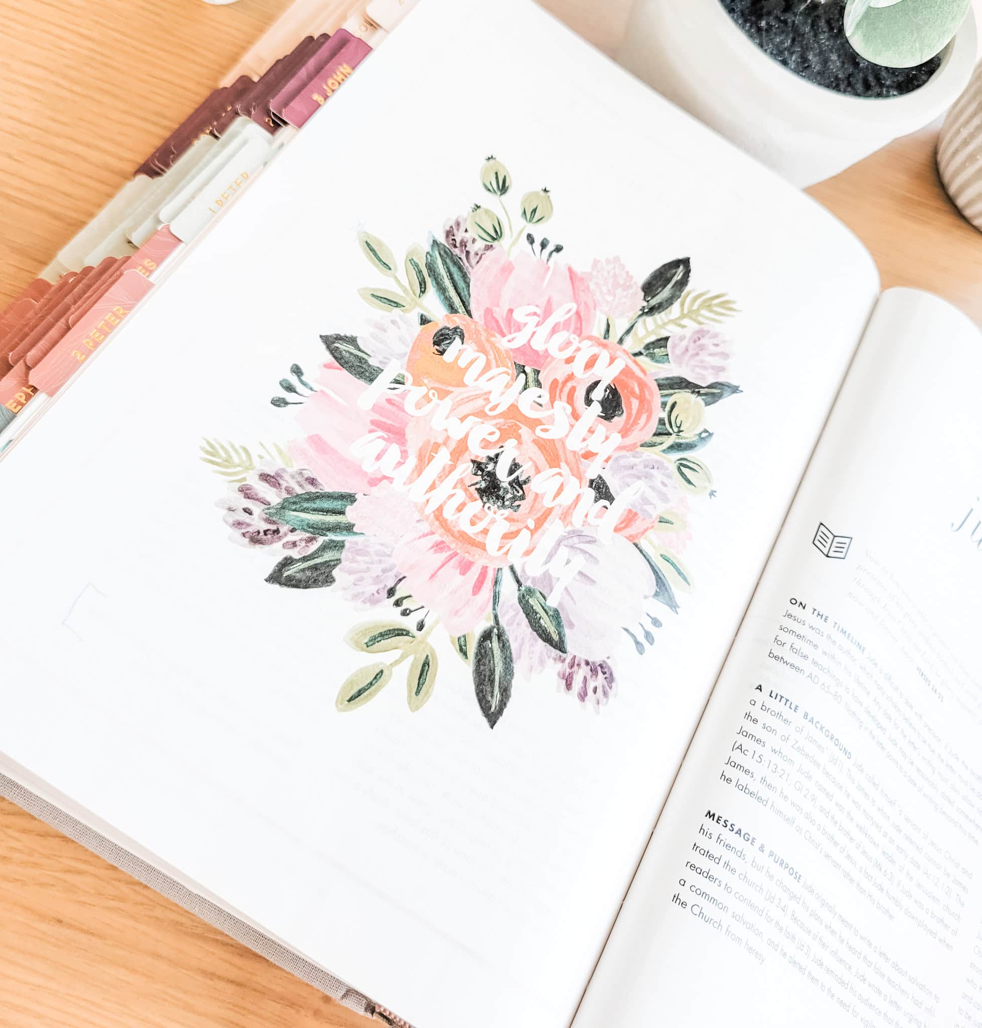 7 Best Study Bibles for Women to grow your faith - Her Soul is Beautiful