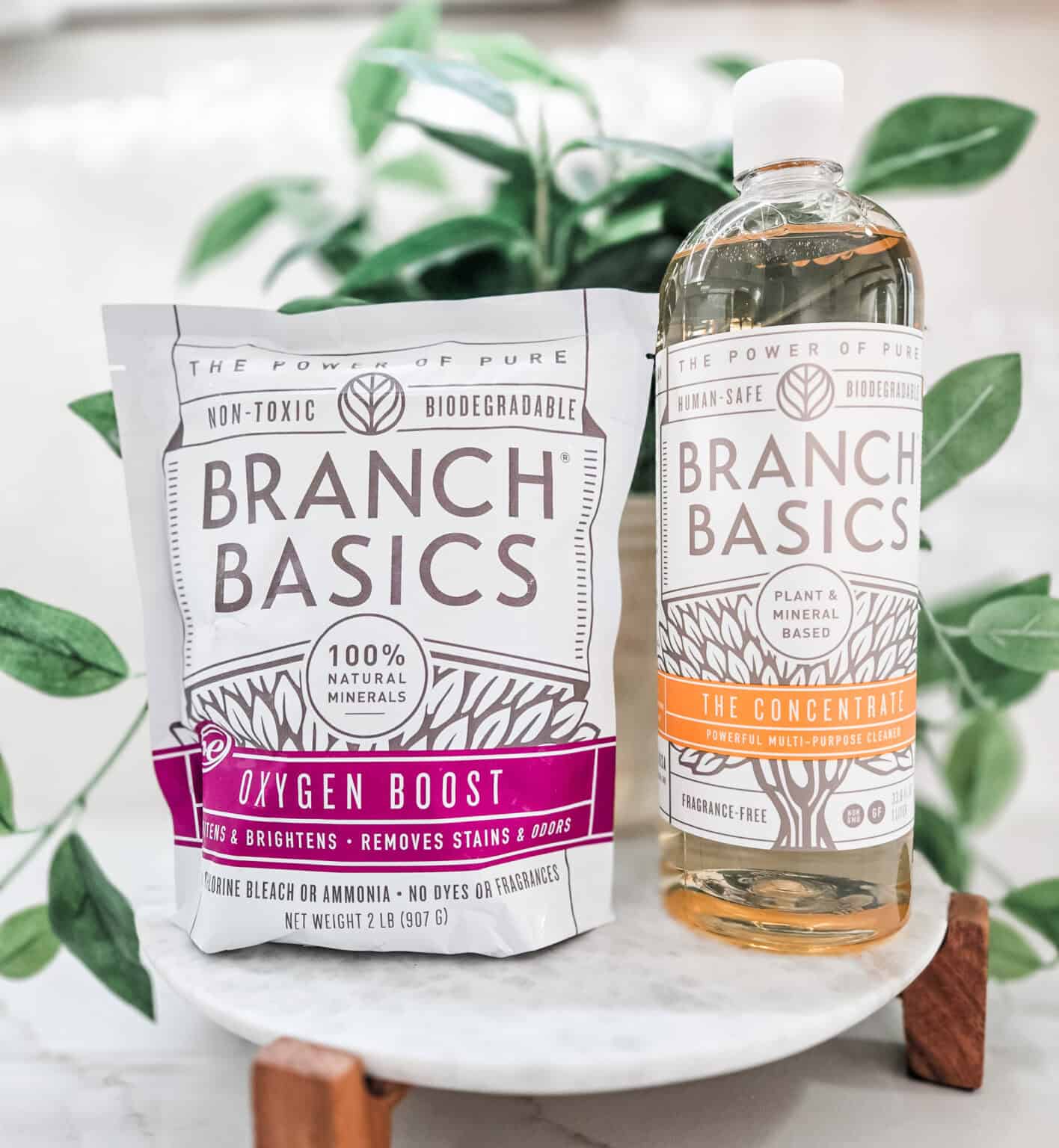 View of Best Non-Toxic Laundry Products - Her Soul is Beautiful